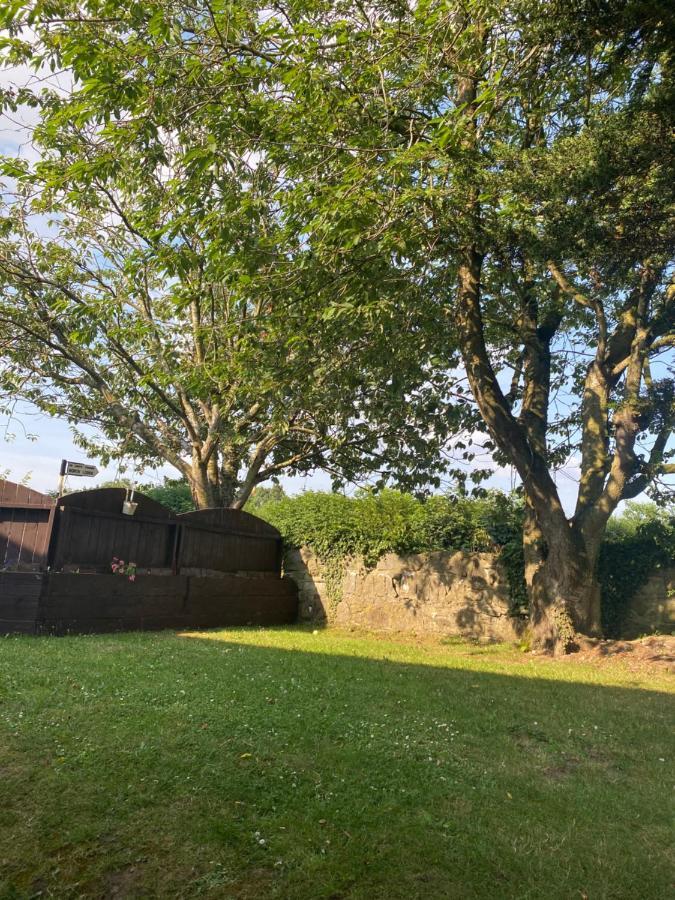 North Lodge Self Contained Guest Accommodations Kilkea Luaran gambar