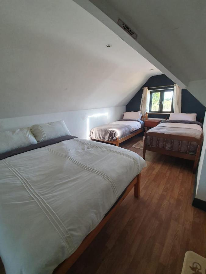 North Lodge Self Contained Guest Accommodations Kilkea Luaran gambar